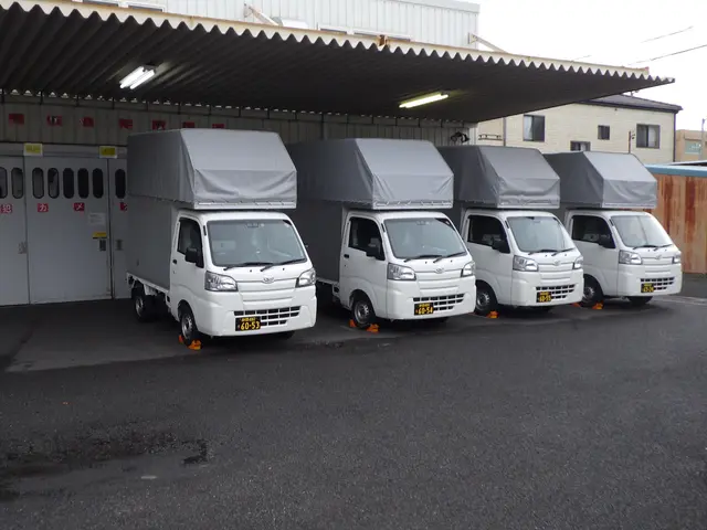 単身引越専門の軽貨物パネルバン1名作業サービスの画像