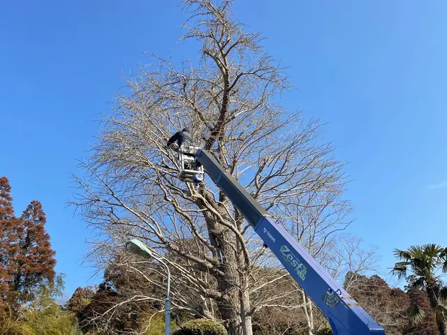 まずはお問い合わせにてご相談！早めの予防を！相談お待ちしております。サービスの画像