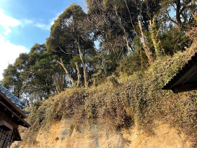 まずはお問い合わせにてご相談！早めの予防を！相談お待ちしております。サービスの画像