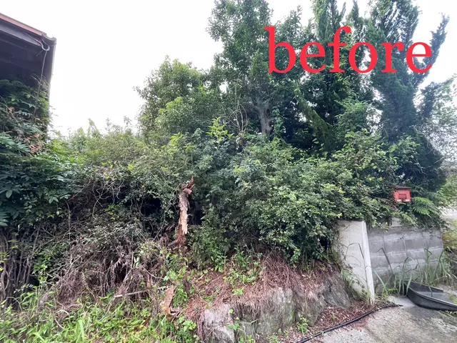 豊富な技術と若い力で綺麗に草刈り行います。サービスの画像