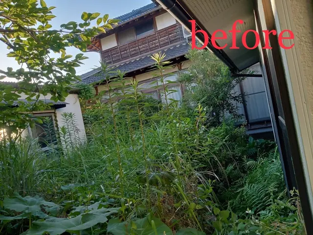 豊富な技術と若い力で綺麗に草刈り行います。サービスの画像