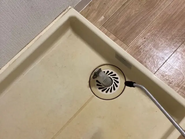 コバエ・チョウバエ駆除サービスの画像