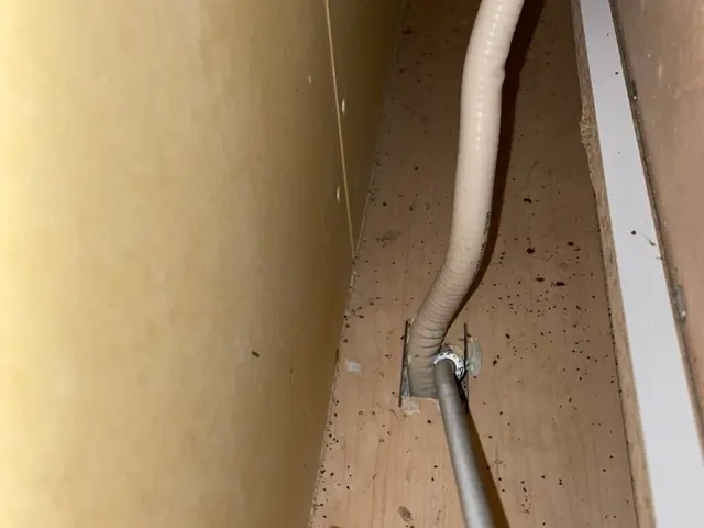 コバエ・チョウバエ駆除サービスの画像