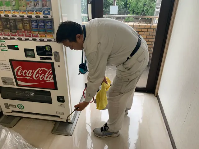 コバエ・チョウバエ駆除サービスの画像