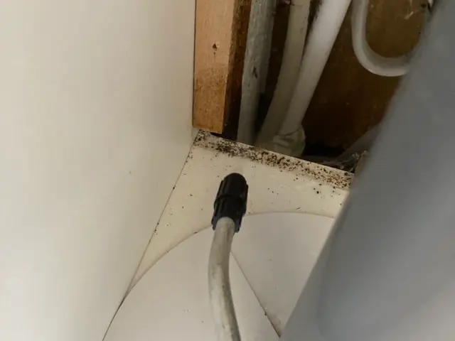 コバエ・チョウバエ駆除サービスの画像