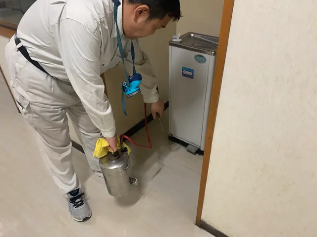 コバエ・チョウバエ駆除サービスの画像