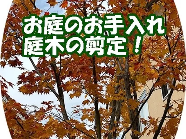 迅速対応！お庭のお手入れ、庭木の剪定　まずはご相談下さい！サービスの画像