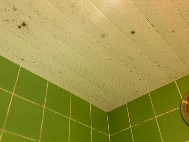 ラジオで紹介されました♪11月予約受付中！サービスの画像