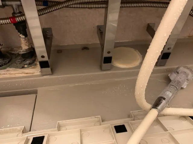 ラジオで紹介されました♪11月予約受付中！サービスの画像