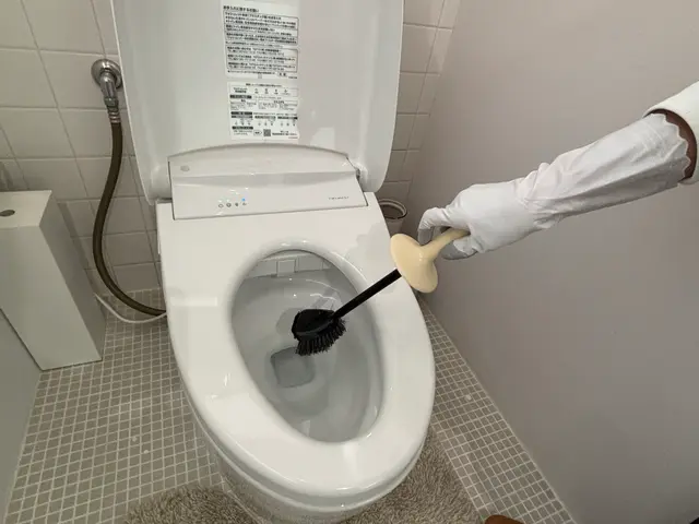 暮らしと心を軽やかに。そっと寄り添い、しっかりサポートby お手伝いのかおりさんサービスの画像