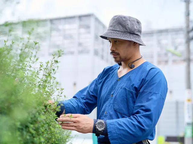 《庭師》【早いレスポンス】【仕事迅速丁寧】◆信頼と実績の10年！◇12月受付中！サービスの画像