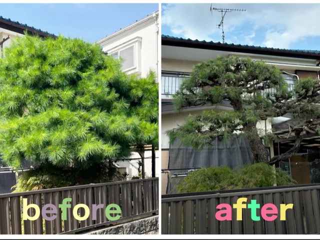 《庭師》【早いレスポンス】【仕事迅速丁寧】◆信頼と実績の10年！◇12月受付中！サービスの画像