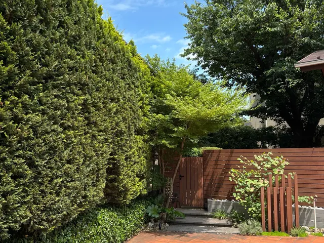 《庭師》【早いレスポンス】【仕事迅速丁寧】◆信頼と実績の10年！◇12月受付中！サービスの画像