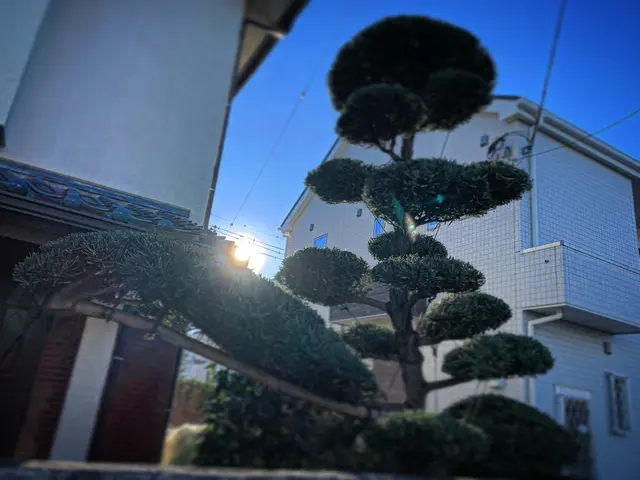 《庭師》【早いレスポンス】【仕事迅速丁寧】◆信頼と実績の10年！◇12月受付中！サービスの画像