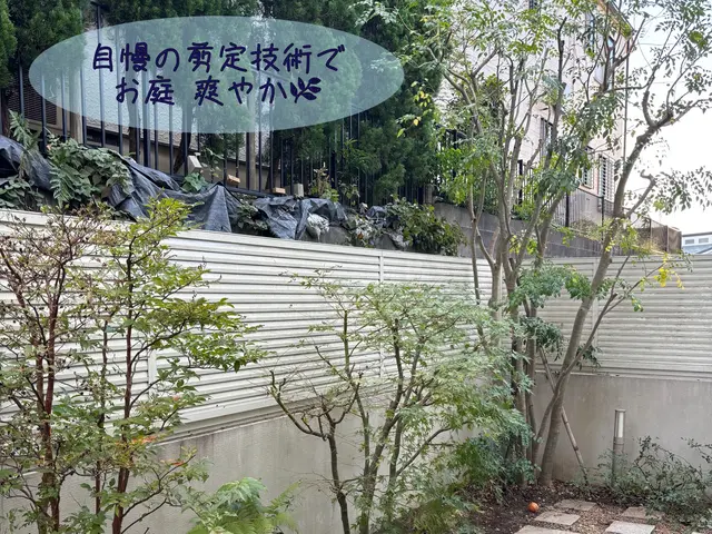 《庭師》【早いレスポンス】【仕事迅速丁寧】◆信頼と実績の10年！◇12月受付中！サービスの画像