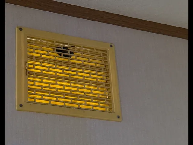 アシナガバチからスズメバチまで！蜂の巣駆除します！サービスの画像