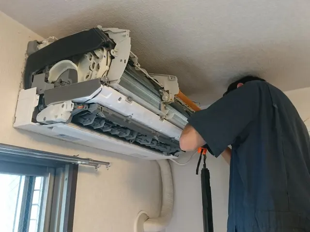 【現在予約可能！】消臭のプロ！一切の汚れ残しナシ！本格消臭コート◎！サービスの画像