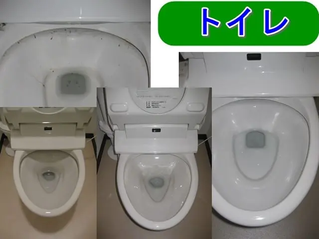 ＼優しい天然洗剤！／シツコイ黒ずみ、ウォシュレットをキレイに【千葉県柏市発】サービスの画像