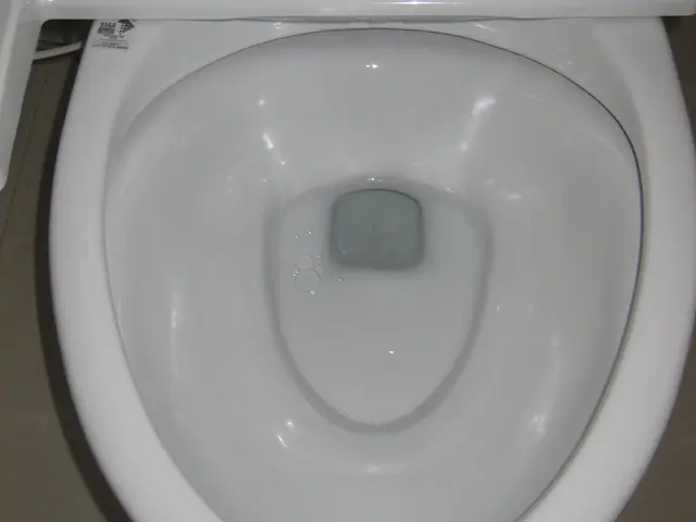 ＼優しい天然洗剤！／シツコイ黒ずみ、ウォシュレットをキレイに【千葉県柏市発】サービスの画像