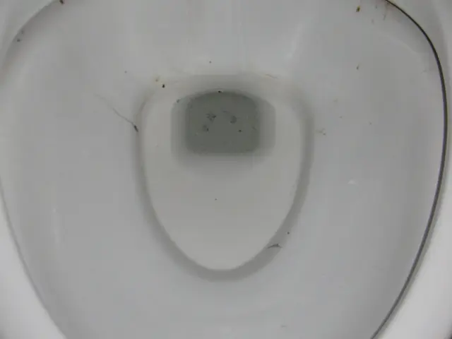 ＼優しい天然洗剤！／シツコイ黒ずみ、ウォシュレットをキレイに【千葉県柏市発】サービスの画像