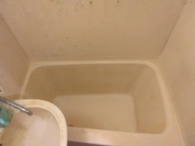 クリーニングのことならお任せください！水回り2点セットサービスの画像