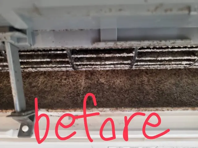 ☆2台以上スーパーお得☆女性店長が訪問します☆自分ではできないお掃除承り中！サービスの画像