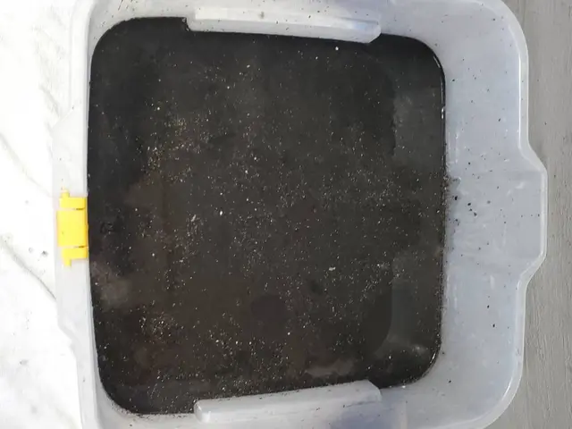 ☆2台以上スーパーお得☆女性店長が訪問します☆自分ではできないお掃除承り中！サービスの画像