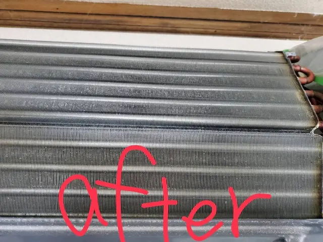 ☆2台以上スーパーお得☆女性店長が訪問します☆自分ではできないお掃除承り中！サービスの画像