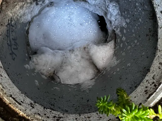 アパートなどの排水管バイオ高圧洗浄で、つまりや悪臭を除去！サービスの画像