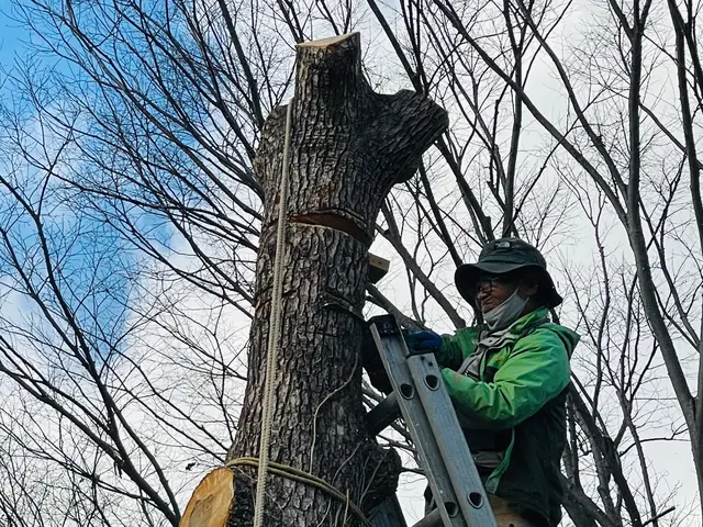 【有名園芸店の店長経験あり】植物を知り尽くしたスタッフで丁寧・安心の自社対応！サービスの画像
