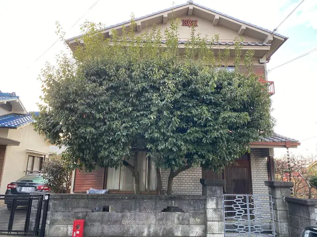 剪定オタク24歳フレッシュな店主が丁寧に対応します。サービスの画像