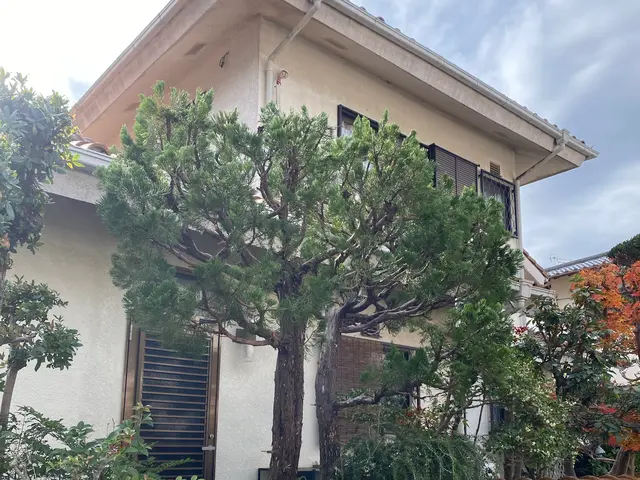 剪定オタク24歳フレッシュな店主が丁寧に対応します。サービスの画像