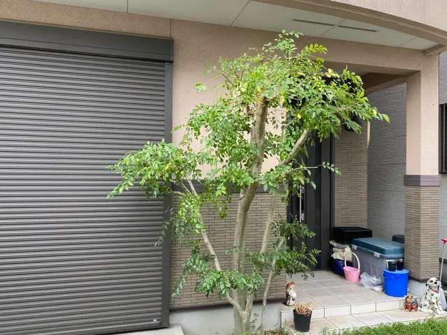 剪定オタク24歳フレッシュな店主が丁寧に対応します。サービスの画像
