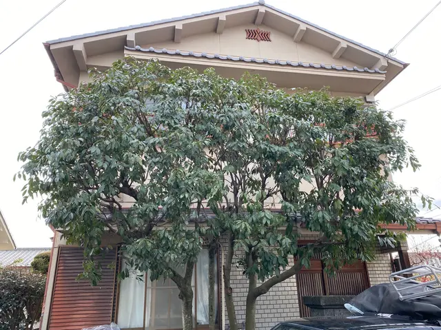 剪定オタク24歳フレッシュな店主が丁寧に対応します。サービスの画像