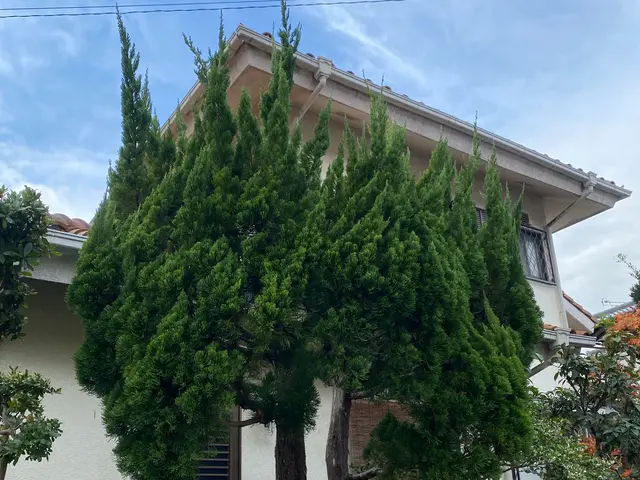 剪定オタク24歳フレッシュな店主が丁寧に対応します。サービスの画像