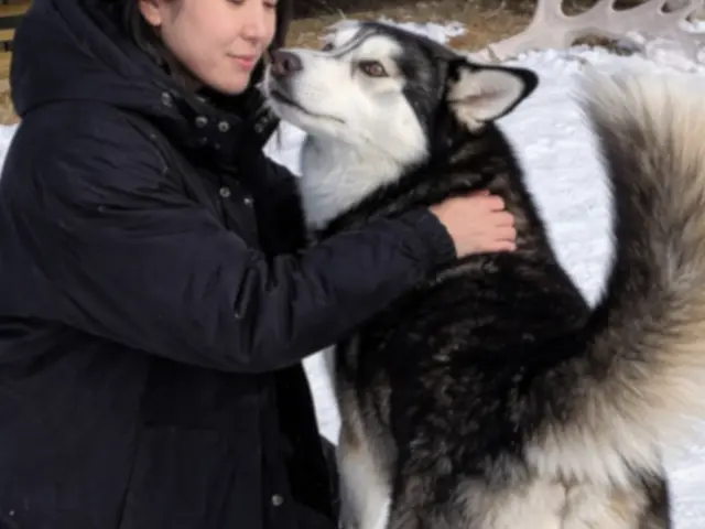 経験豊富なプロのシッター×トリマー！松山市訪問ペットシッターサービスの画像