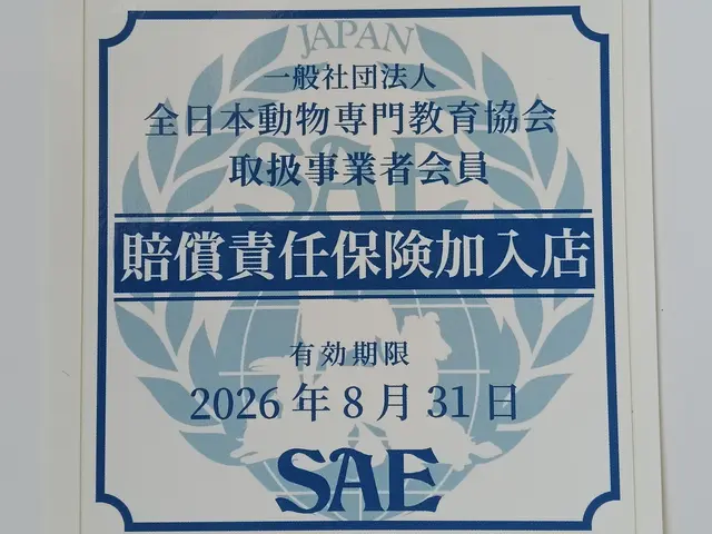 経験豊富なプロのシッター×トリマー！松山市訪問ペットシッターサービスの画像