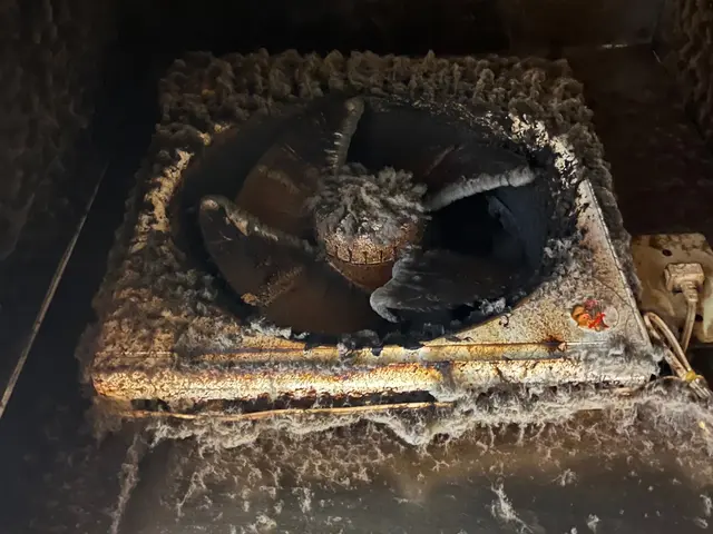 一般の方の引っ越し前後清掃専門　業者様、オーナー様の原状回復、特殊清掃非対応ですサービスの画像