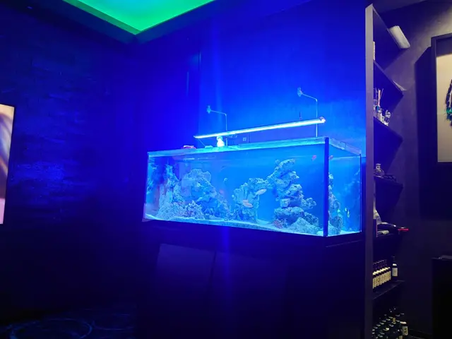 当日予約や即日組立も！日程が埋まっててもご相談ください◎サービスの画像