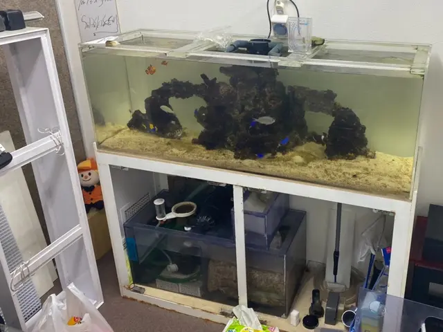 当日予約や即日組立も！日程が埋まっててもご相談ください◎サービスの画像