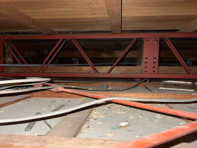 害獣害虫駆除業者◎現地調査対応しております/インボイス対応店サービスの画像