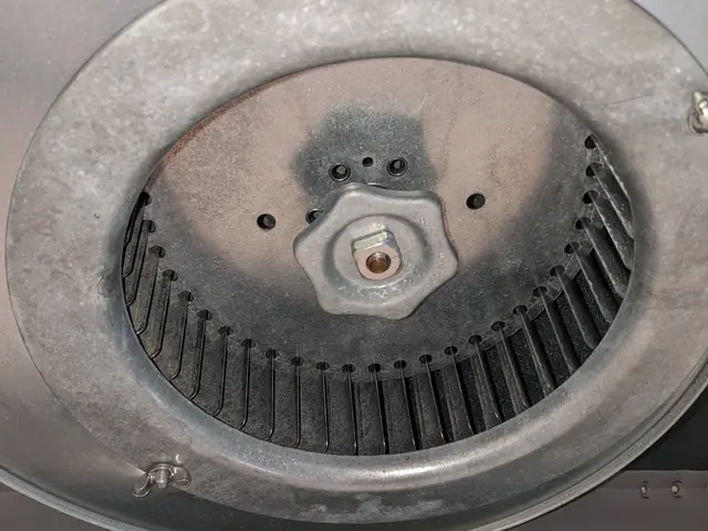 レンジフードクリーニングお任せ下さい！損害保険加入店！サービスの画像