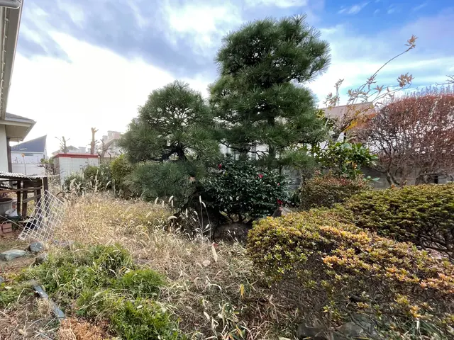 大切な庭木をキレイに整えます。経験と知識を活かして迅速丁寧に作業いたします！サービスの画像