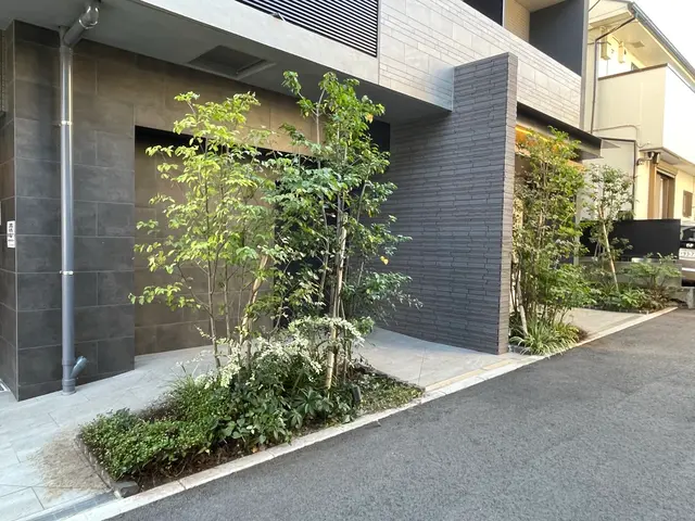 大切な庭木をキレイに整えます。経験と知識を活かして迅速丁寧に作業いたします！サービスの画像