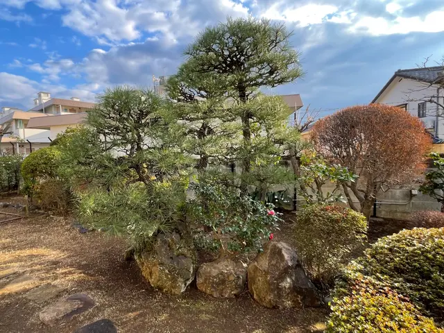 大切な庭木をキレイに整えます。経験と知識を活かして迅速丁寧に作業いたします！サービスの画像