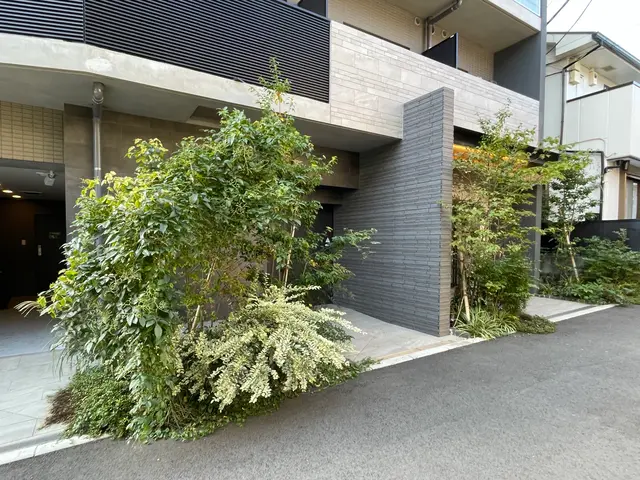 大切な庭木をキレイに整えます。経験と知識を活かして迅速丁寧に作業いたします！サービスの画像