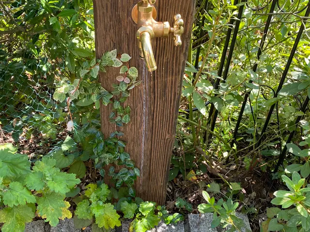 仮の予約をしてから写真でお見積もりします。お見積もりをしてから工事の予約をお願いサービスの画像