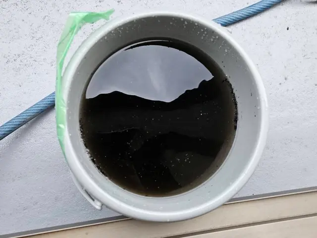 【エアコン洗浄士資格保有スタッフが徹底洗浄!!】黒カビ根絶洗浄サービスの画像