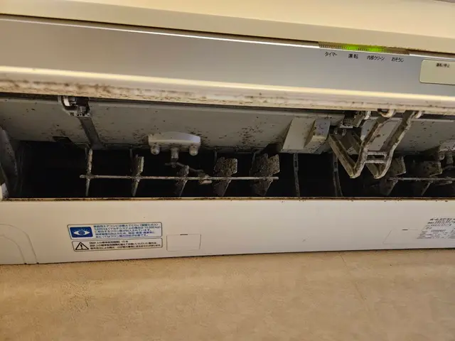 【エアコン洗浄士資格保有スタッフが徹底洗浄!!】黒カビ根絶洗浄サービスの画像