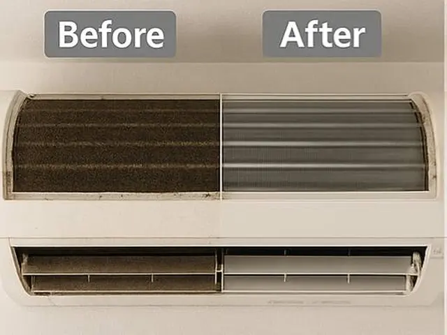 【エアコン洗浄士資格保有スタッフが徹底洗浄!!】黒カビ根絶洗浄サービスの画像